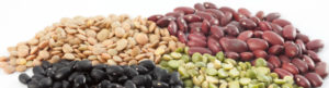 legumes