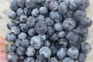 blueberries