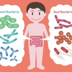 gut health 
