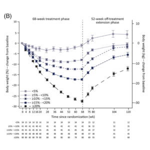 weight regain after stopping semaglutide